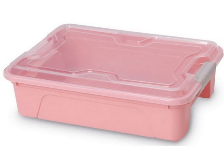 Organizador com Travas Transl. Cores Sólidas 53 usualutilidades 376 10L SOLIDO SORTIDOS ROSE